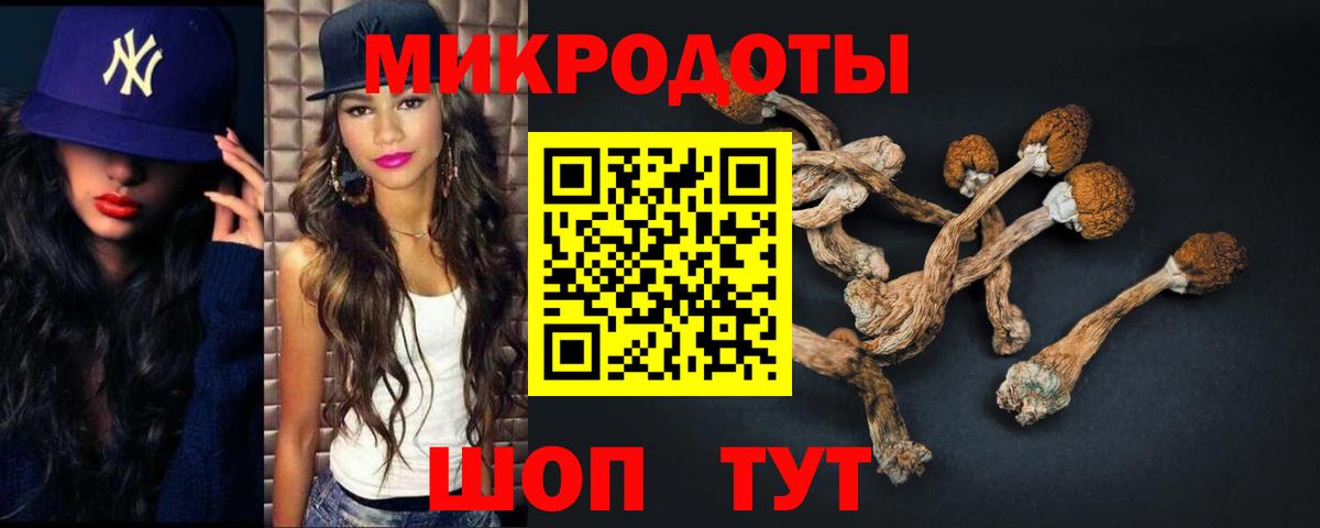 Вичуга  Псилоцибиновые грибы Cubensis  Вход с VPN 